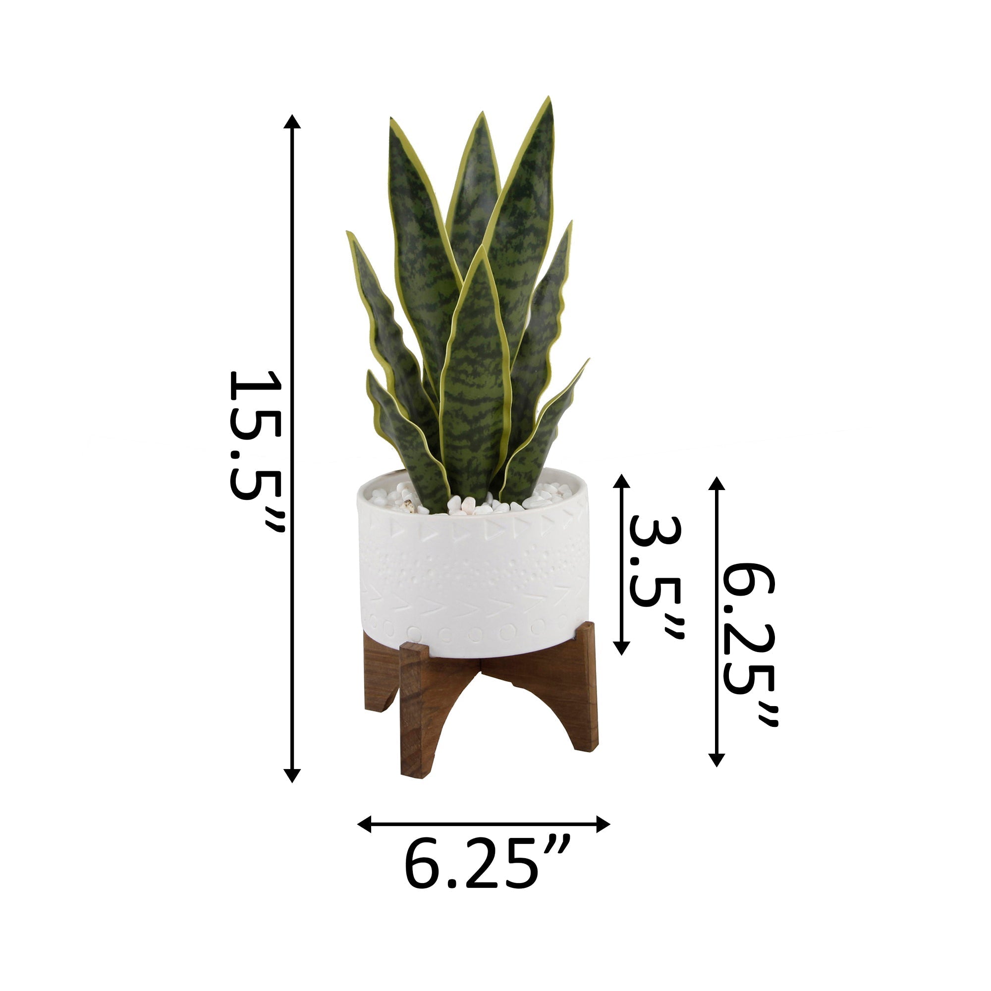  Flora Bunda Snake Plant In Triangle Edged Ceramic Planter On Stand - White - Bonton