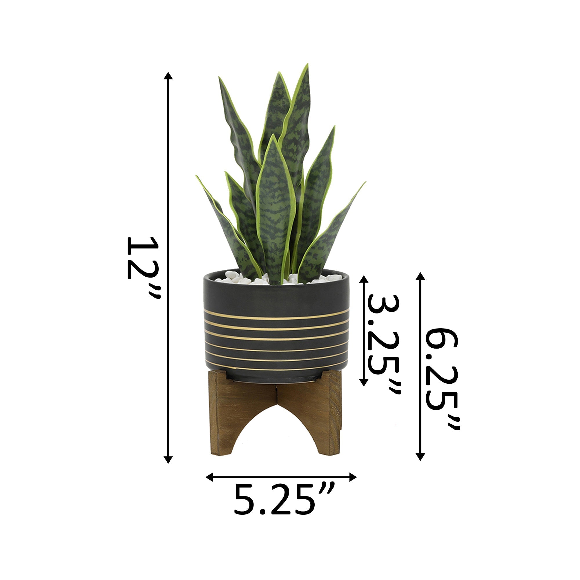  Flora Bunda Snake Plant in Black Planter on Wood Stand - Black/White - Bonton