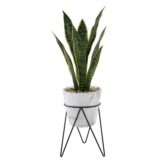 Snake Plant In Marbled Cement On Black Metal Stand