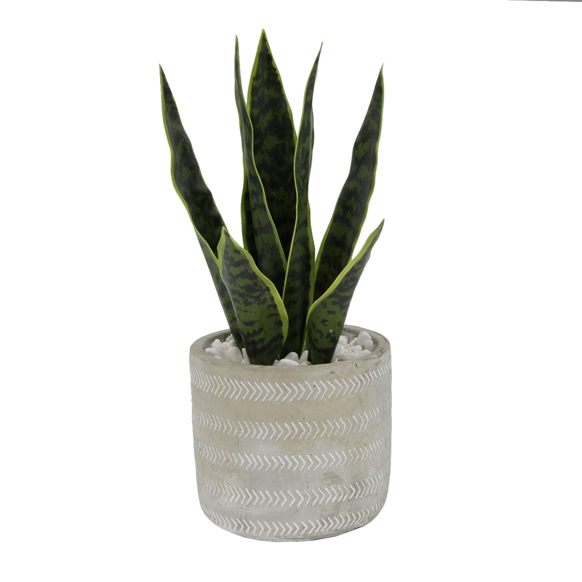  Flora Bunda Snake Plant In Arrow Embossed Solid Cement Pot - Grey - Bonton