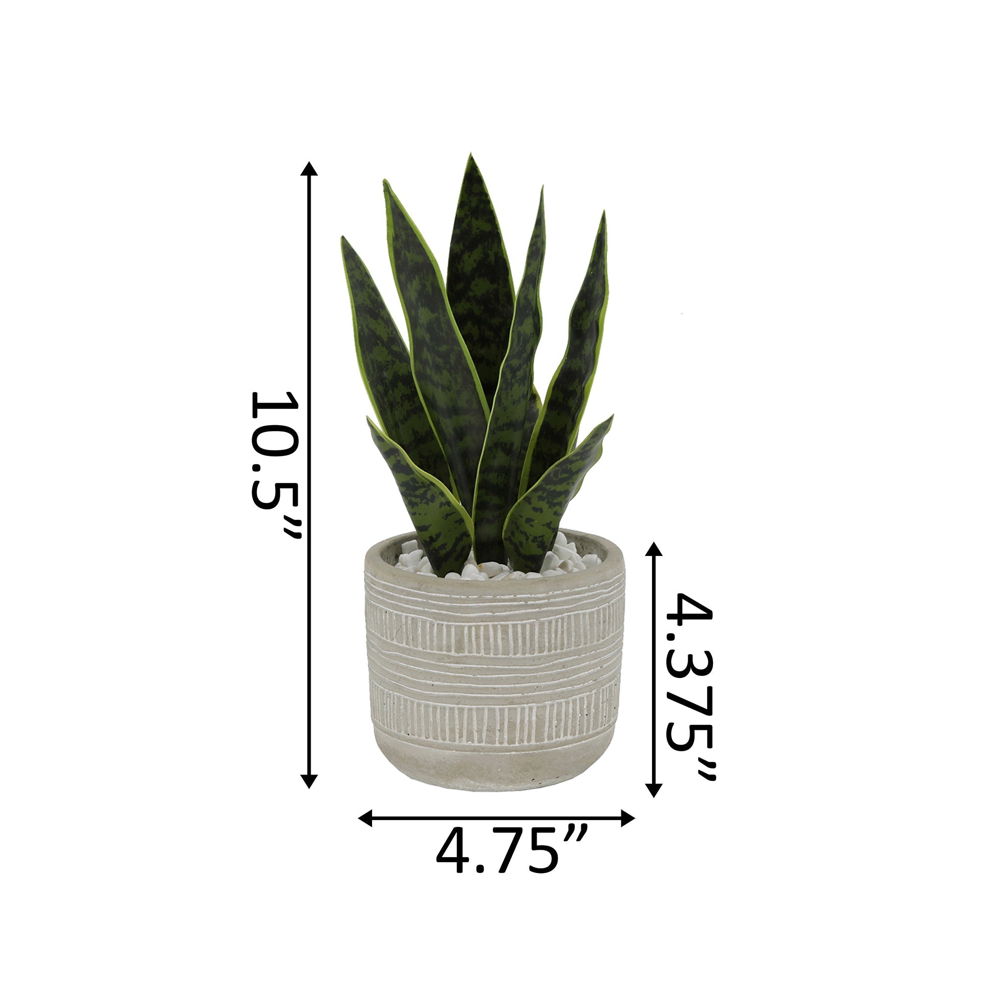  Flora Bunda Snake Plant In Arrow Embossed Solid Cement Pot - Grey - Bonton