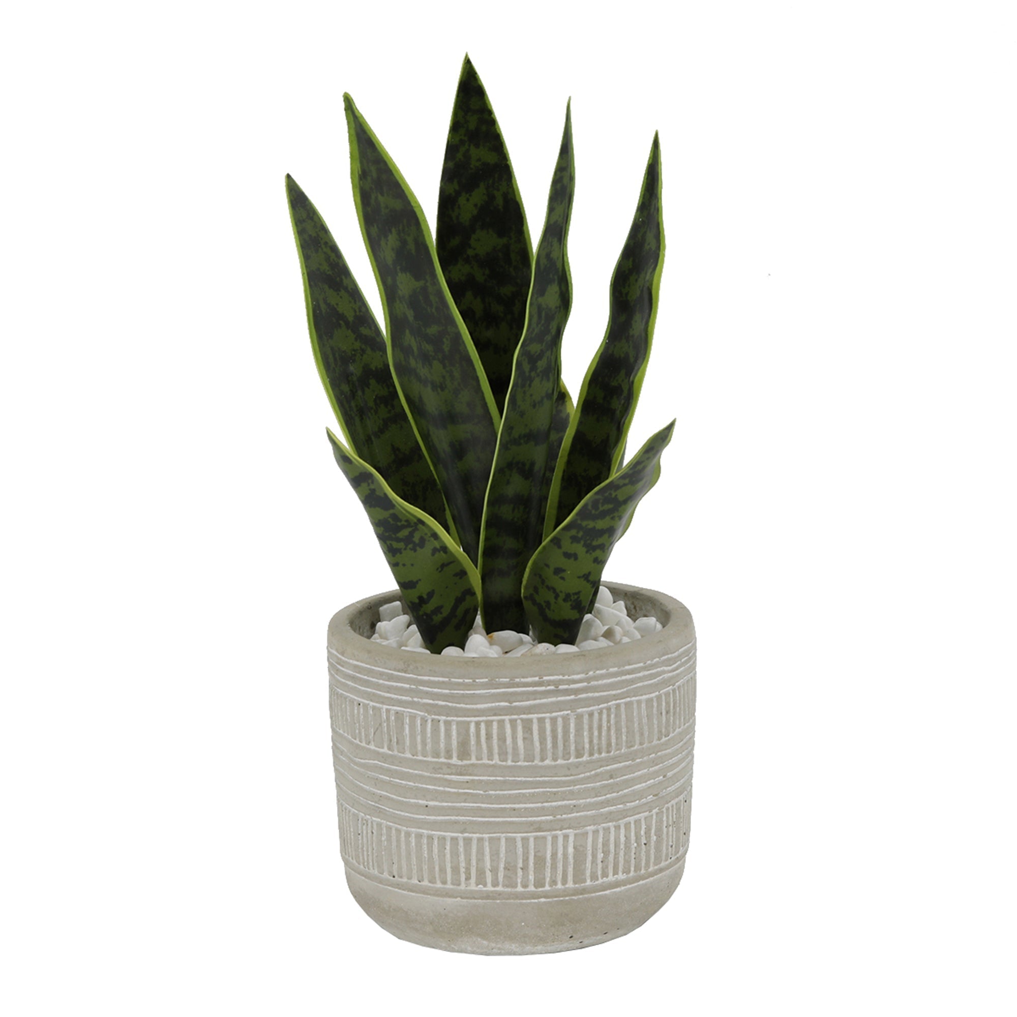  Flora Bunda Faux Snake Plant In Nature Art Pattern Cement Pot - Grey - Bonton