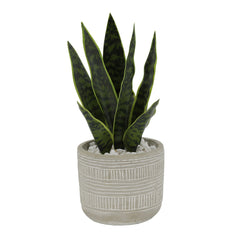 Faux Snake Plant In Nature Art Pattern Cement Pot