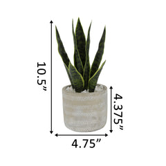 Faux Snake Plant In Nature Art Pattern Cement Pot