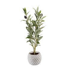 Olive Branch In Diamond Weave Light Grey Cement Pot