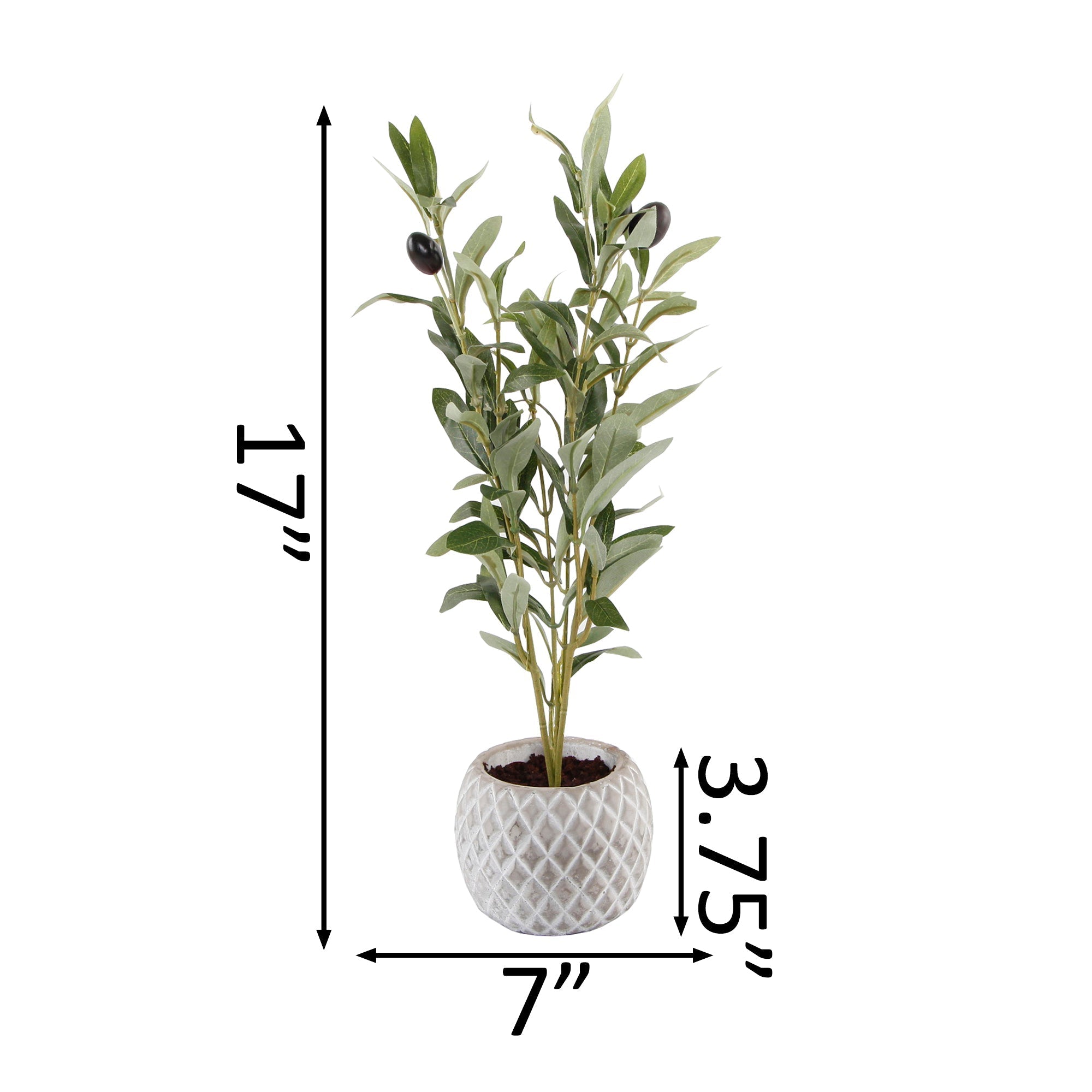  Flora Bunda Olive Branch In Diamond Weave Light Grey Cement Pot - Gray - Bonton