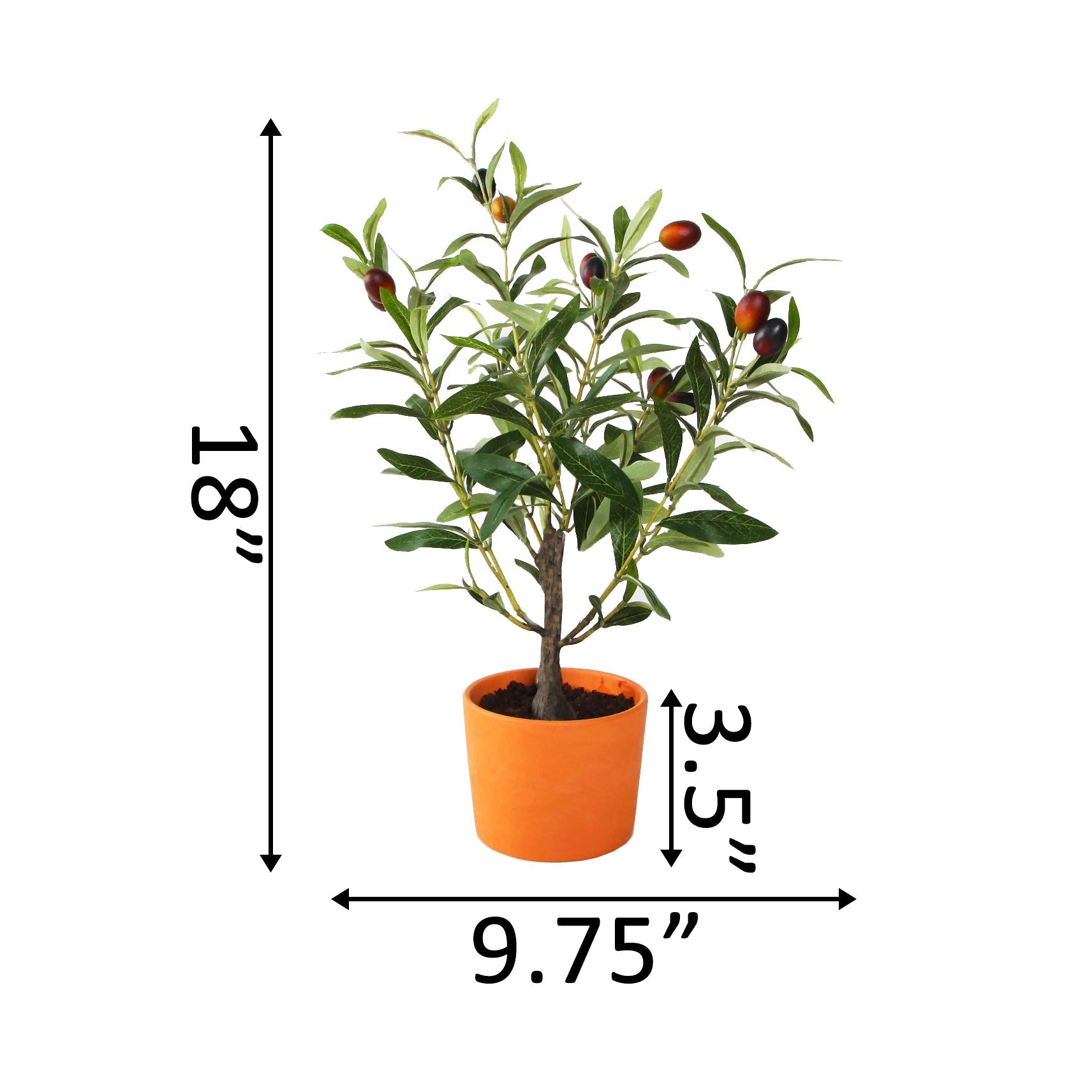  Flora Bunda Olive Tree In Tangerine Ceramic Pot - Orange - Bonton