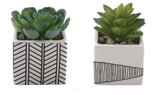 Faux Succulents In Tribal Ceramic Pot