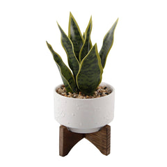 Faux Snake Plant In Star Constellation Ceramic Pot