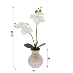 Faux Double White Orchid In Ceramic Vase