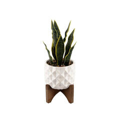 Faux Snake Plant In Concave Diamond Pattern Ceramic Planter