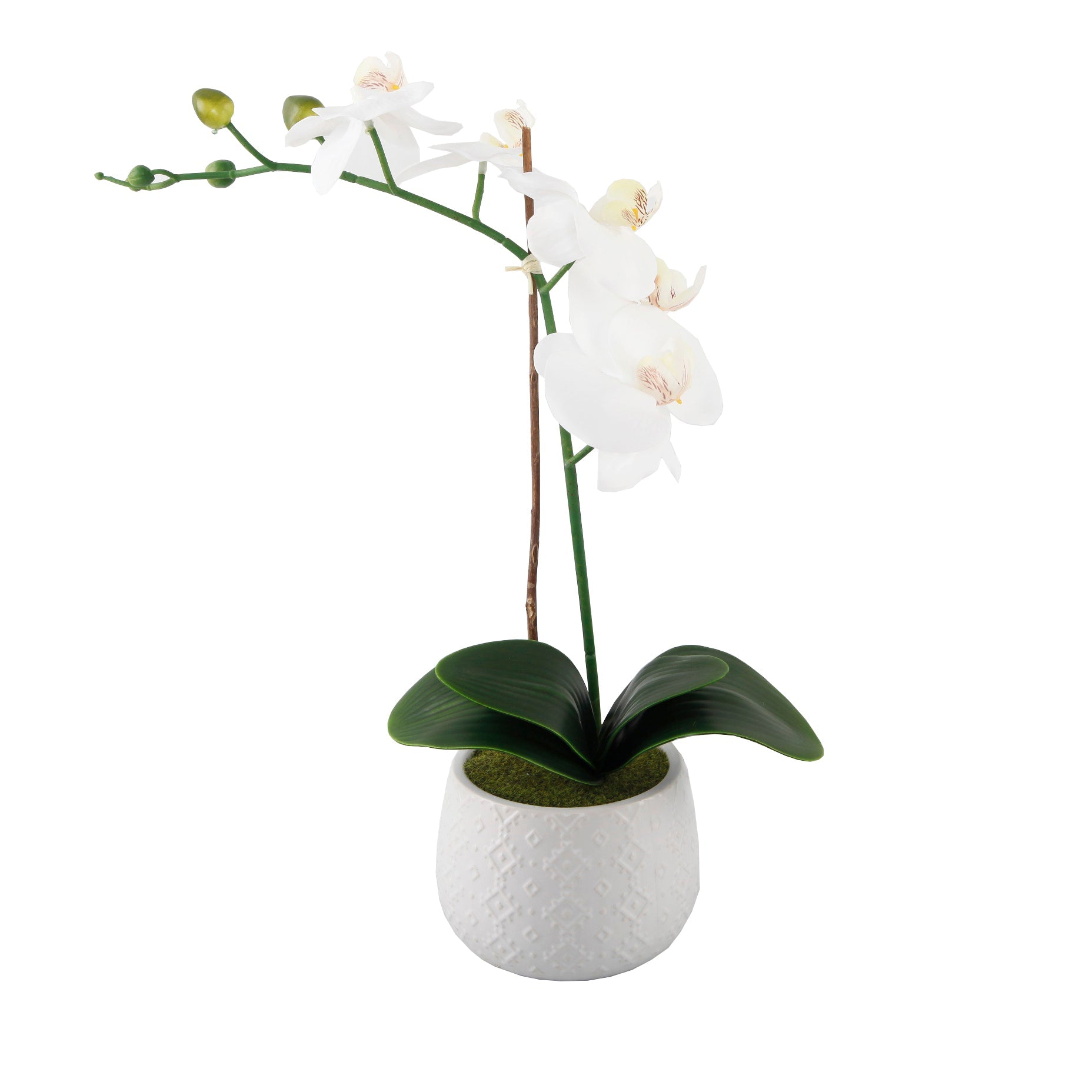  Flora Bunda Tall Faux White Orchid In White Diamond Motif Ceramic Pot - White - Bonton