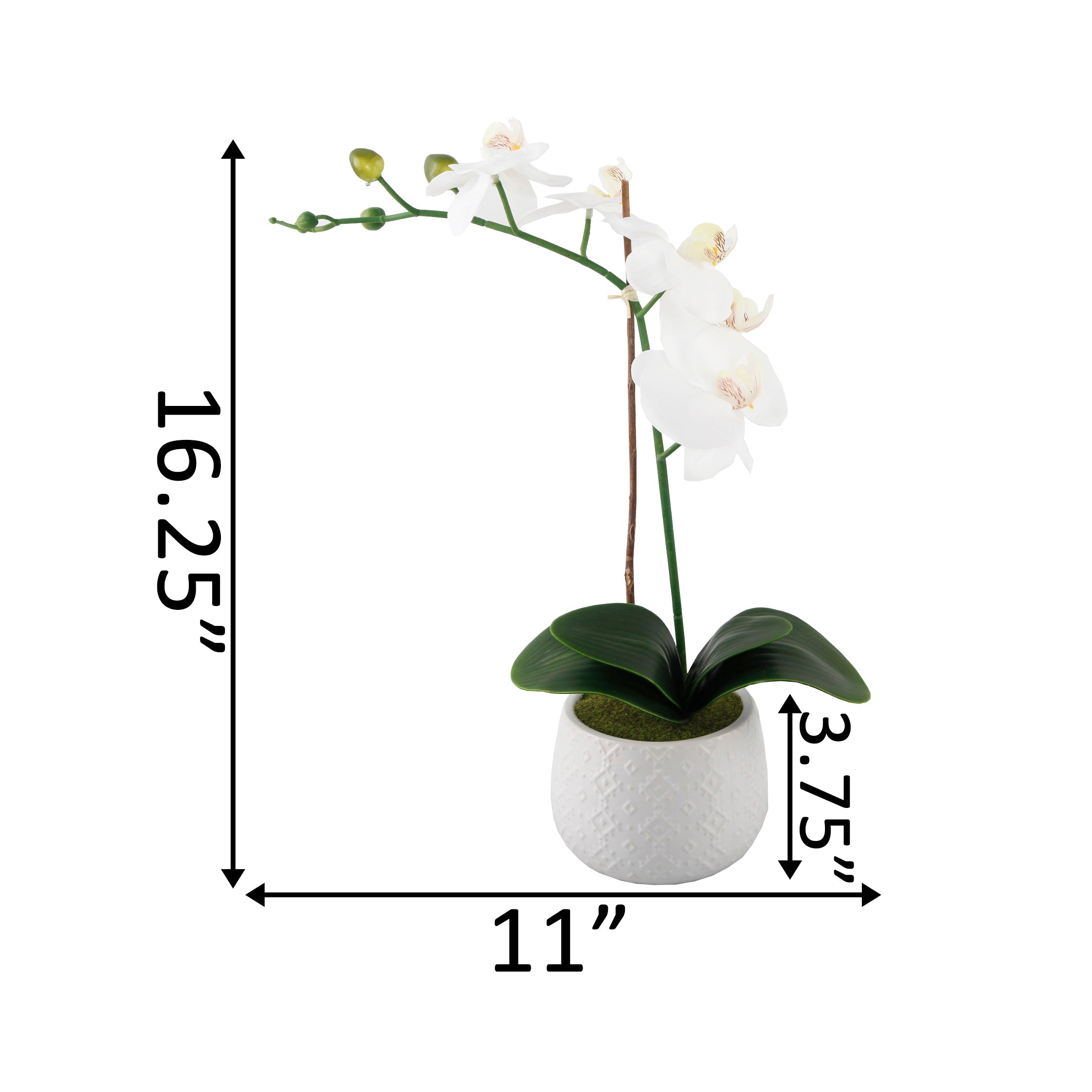  Flora Bunda Tall Faux White Orchid In White Diamond Motif Ceramic Pot - White - Bonton