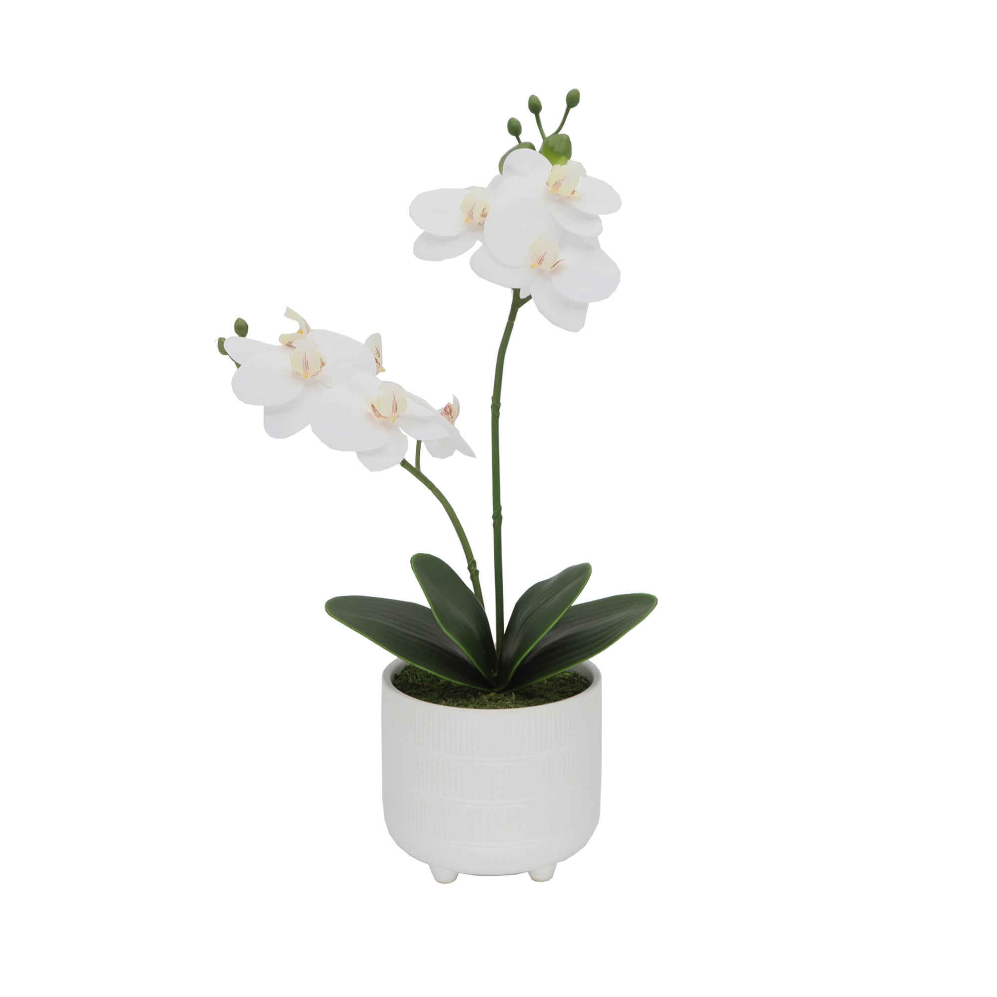  Flora Bunda Faux Double Orchid Ceramic Footed Planter - White - Bonton