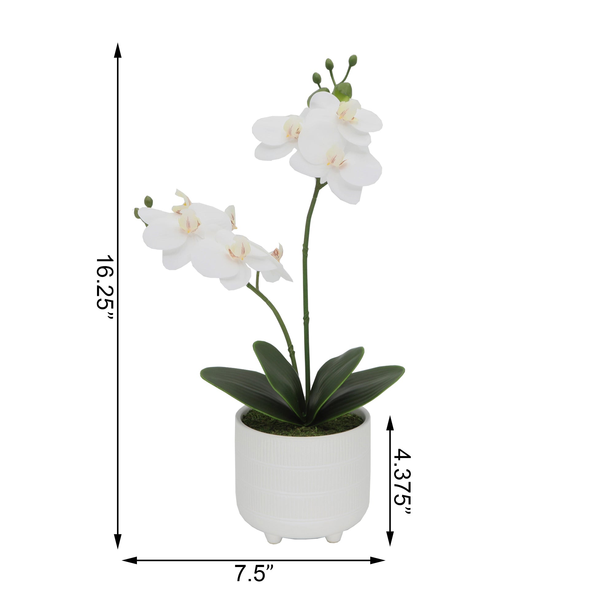  Flora Bunda Faux Double Orchid Ceramic Footed Planter - White - Bonton