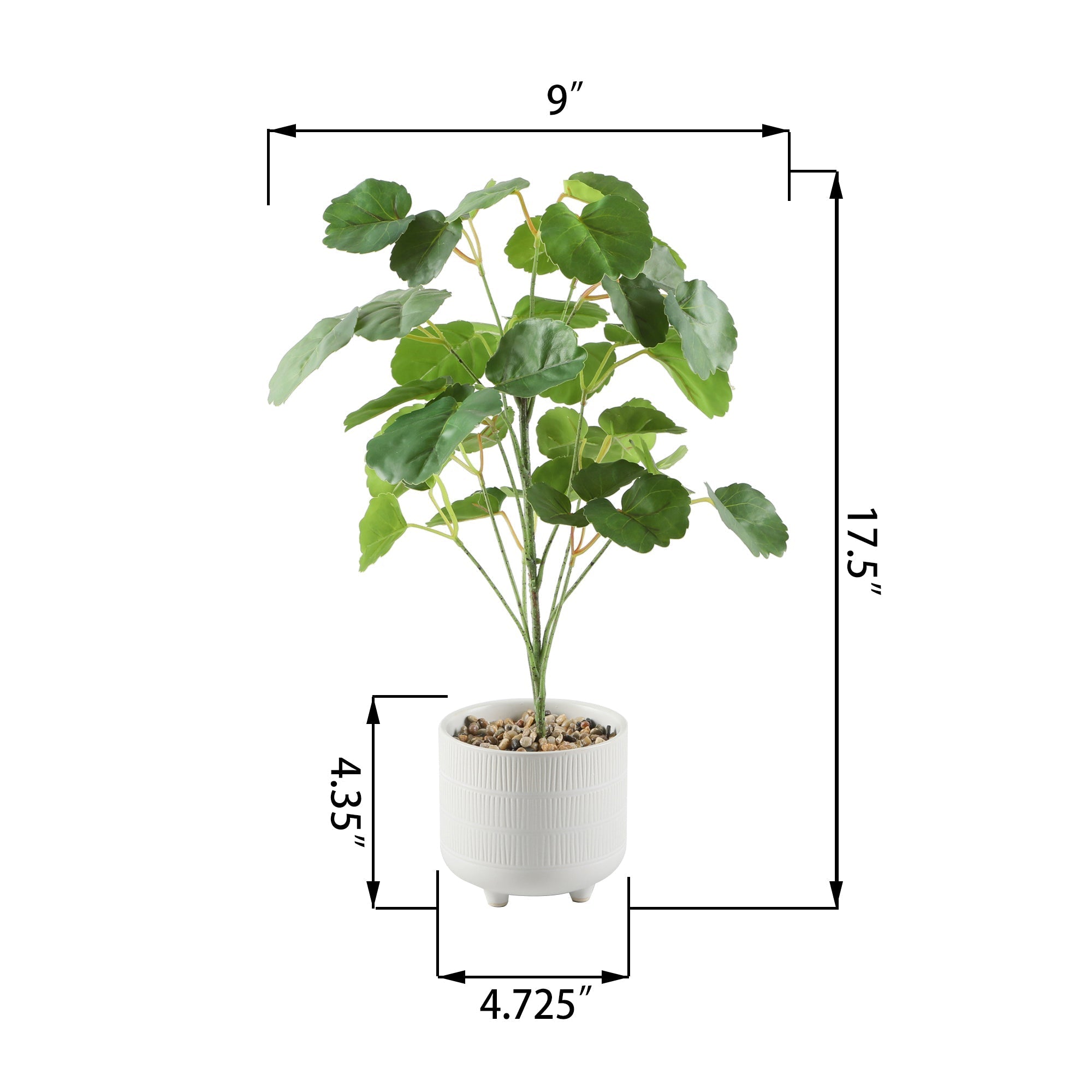  Flora Bunda Pilea In Footed Ceramic Pot - White/Green - Bonton