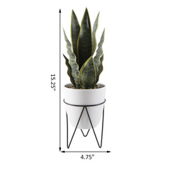 Faux Snake Plant in White Pot with Black Metal Stand