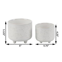 Set of 2 Soft White Dragonfly Ceramic Footed Planters