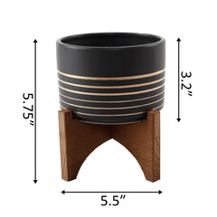 Ceramic Planter with Gold Concentric Lines on Wood Stand