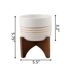 White with Gold Concentric Lines Planter On Wood Stand