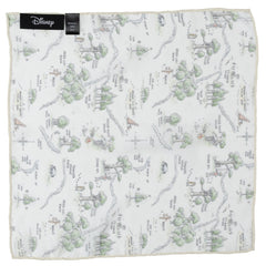 Winnie the Pooh Map Pocket Square