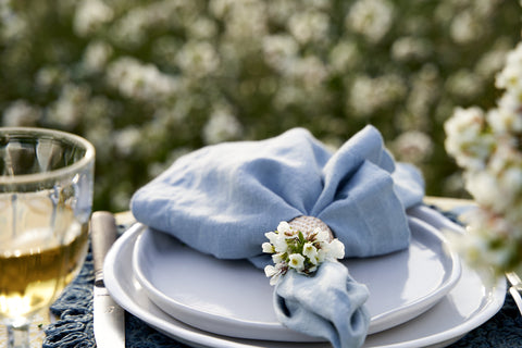 Everyday Napkin 21x21 - Set of 4