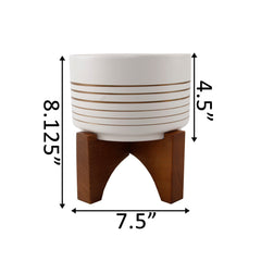 White Ceramic Pot with Gold Lines on Wood Stand