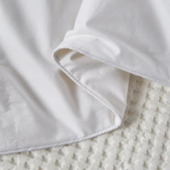 All Seasons Down Comforter