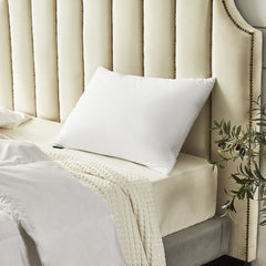 2-Pack Feather Down Pillows