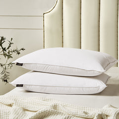 2-Pack Feather Down Pillows