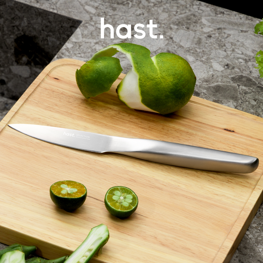  Hast Hast Selection series 2-piece Japanese Steel Knife Set by Hast - Matte Silver - Bonton