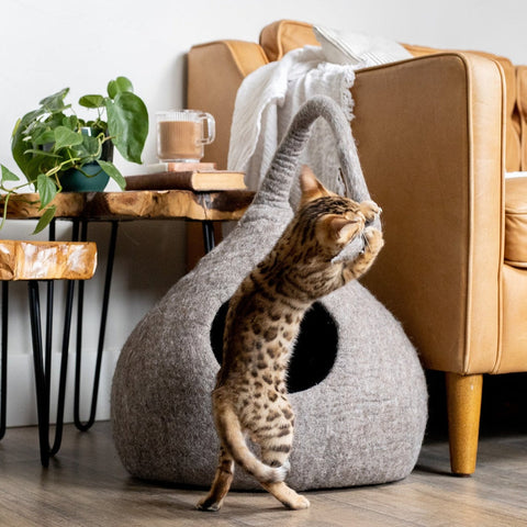 Earth Brown | Tail Style Cave by Fuzzy Cove