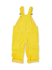 Classic Summer Denim Overalls