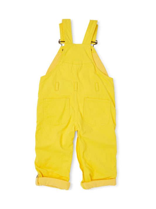 Classic Summer Denim Overalls