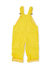 Classic Summer Denim Overalls