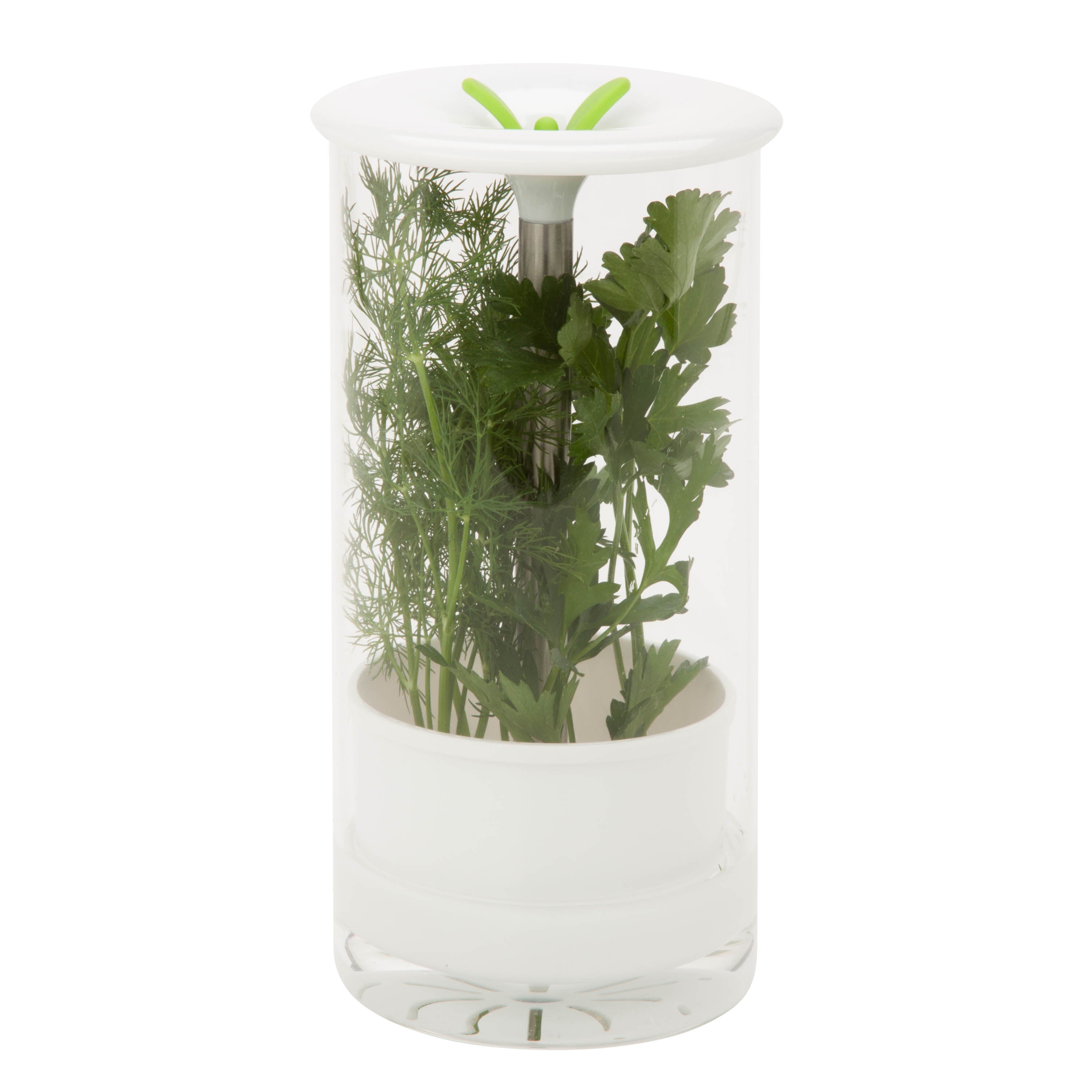  Honey-Can-Do Glass Herb Preserver - White - Bonton