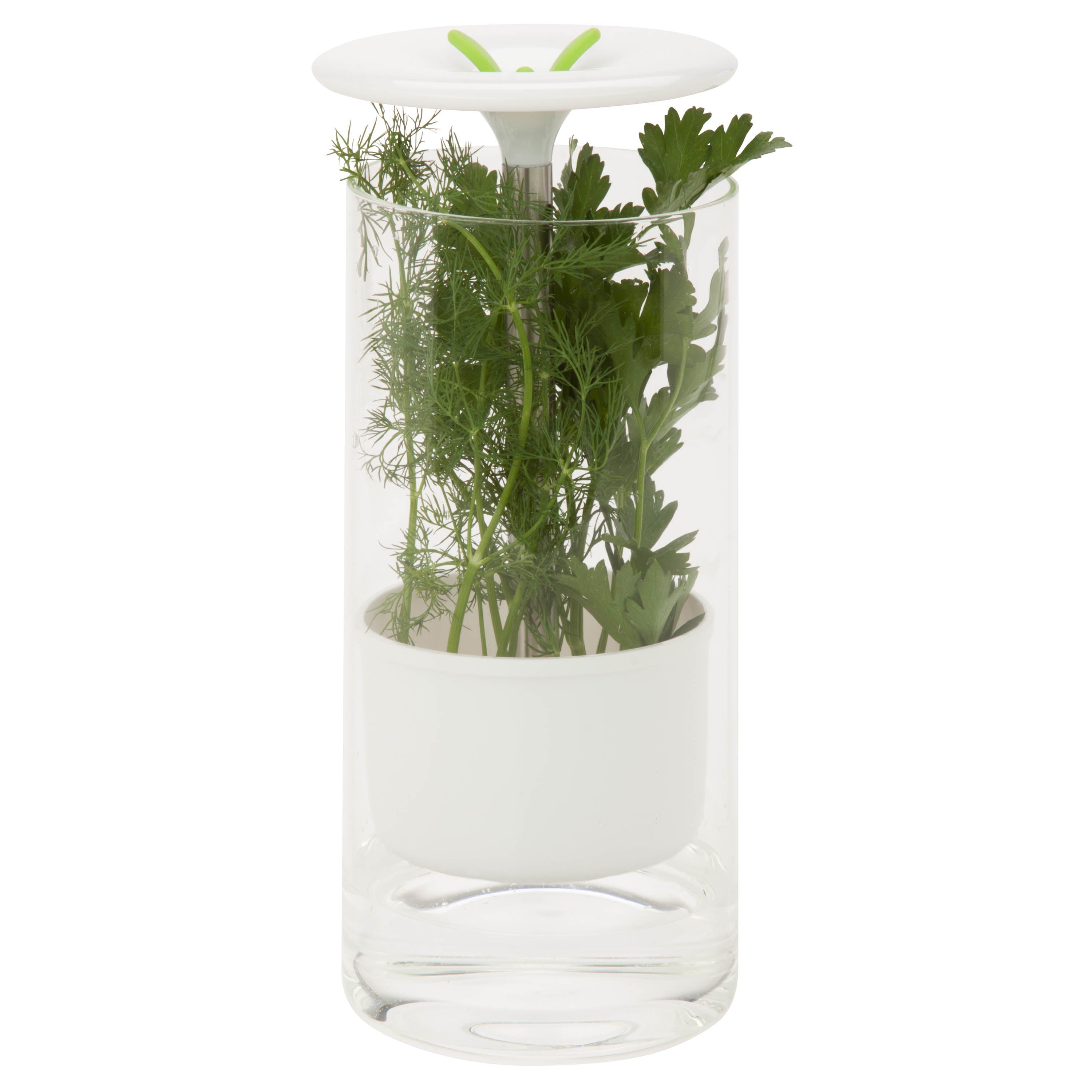  Honey-Can-Do Glass Herb Preserver - White - Bonton