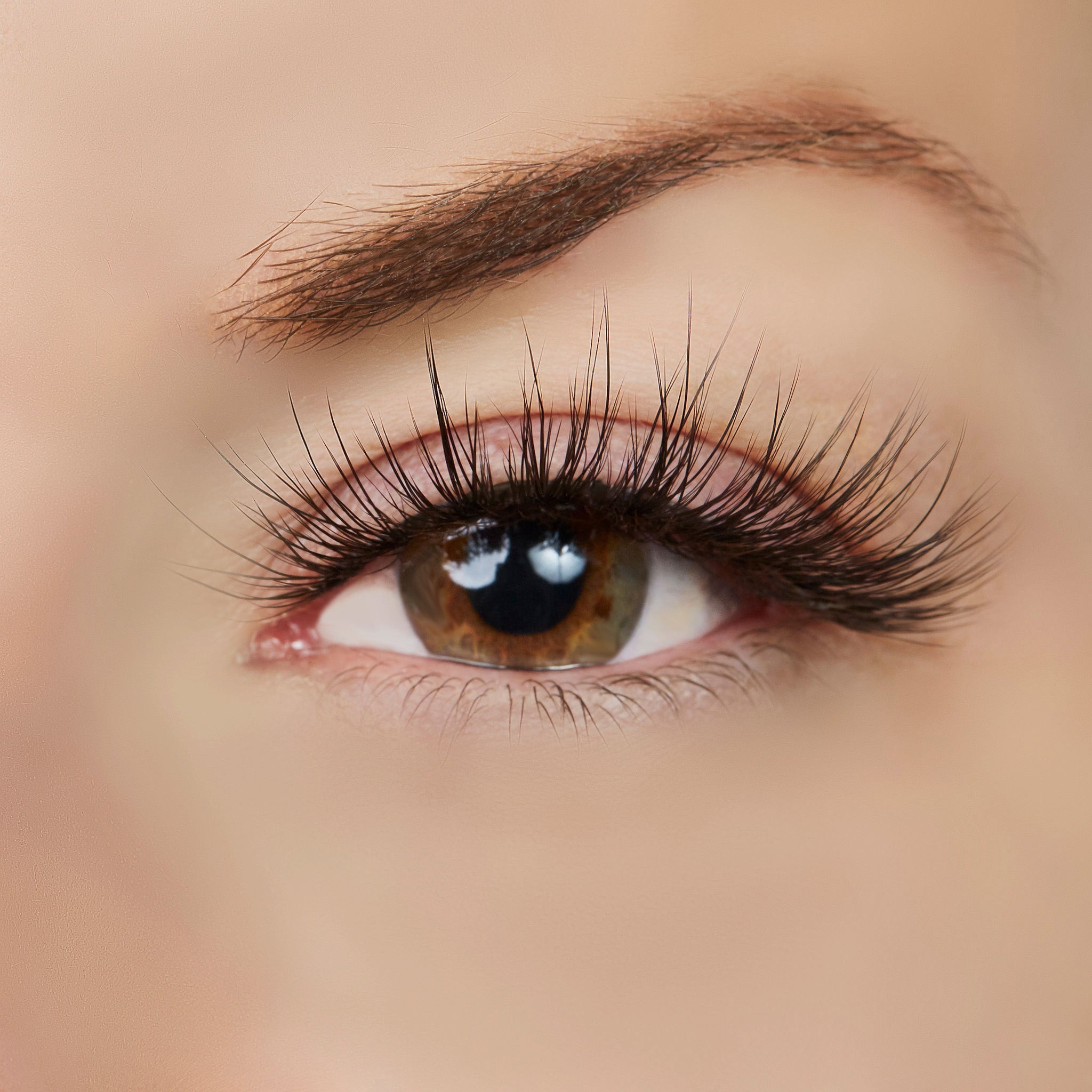 True Beauty Lashes Halo Effect Lash Style by True Beauty Lashes - Standard (apply with Lash Adhesive) - Bonton
