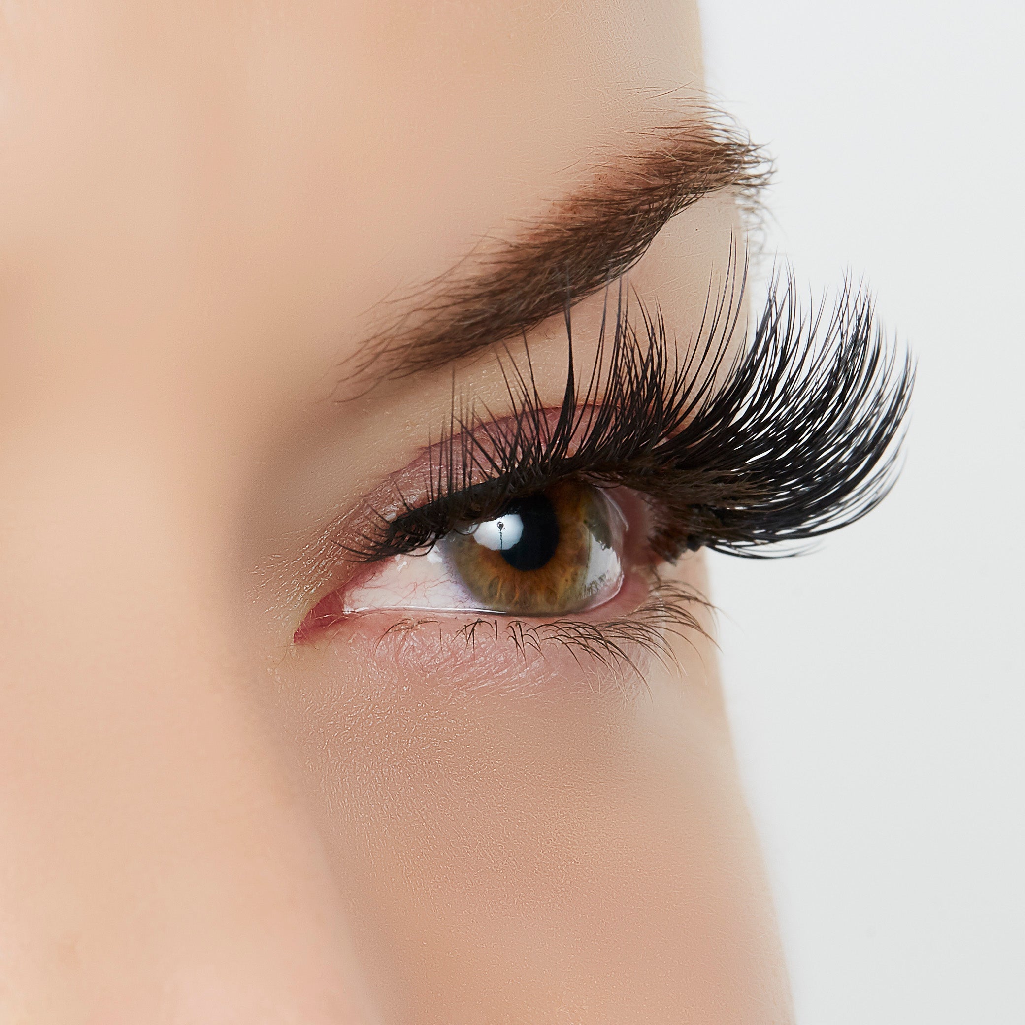  True Beauty Lashes As You Were Saying? Lash Style by True Beauty Lashes - Standard (apply with Lash Adhesive) - Bonton
