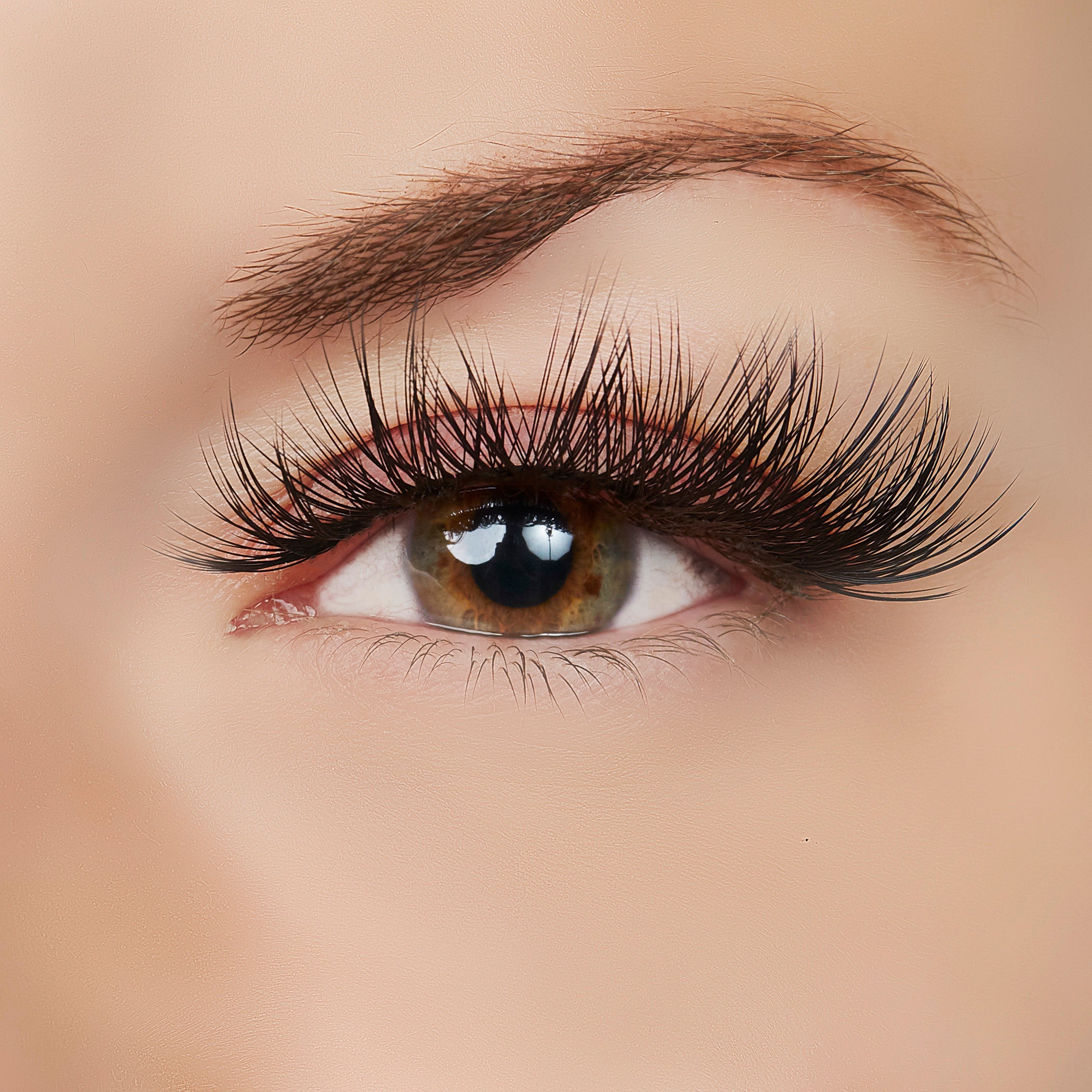  True Beauty Lashes As You Were Saying? Lash Style by True Beauty Lashes - Standard (apply with Lash Adhesive) - Bonton