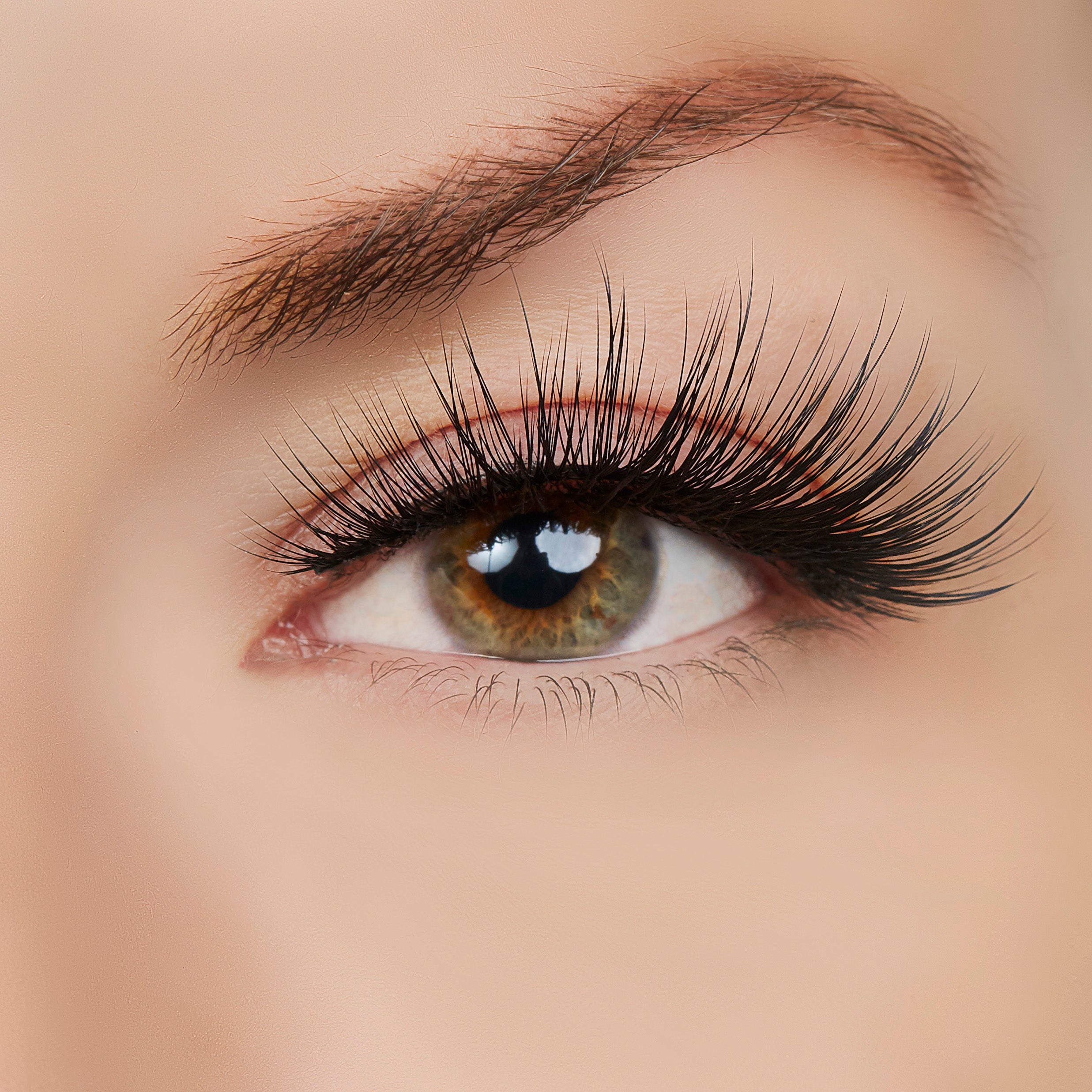  True Beauty Lashes Woman of Worth (WOW!) Lash Style by True Beauty Lashes - Standard (apply with Lash Adhesive) - Bonton