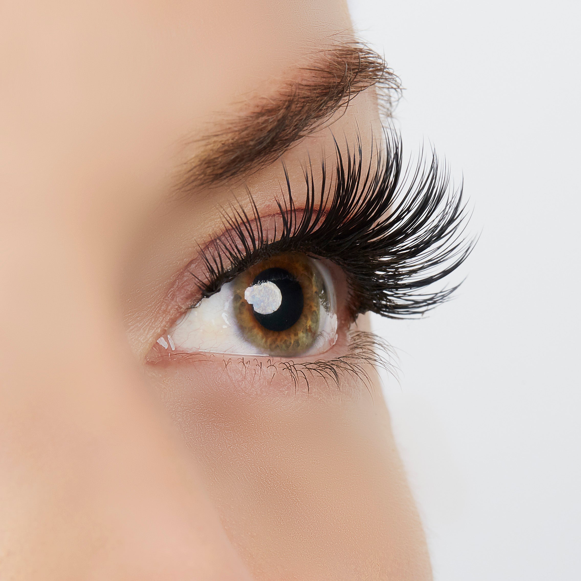  True Beauty Lashes Timeless Beauty Lash Style by True Beauty Lashes - Standard (apply with Lash Adhesive) - Bonton