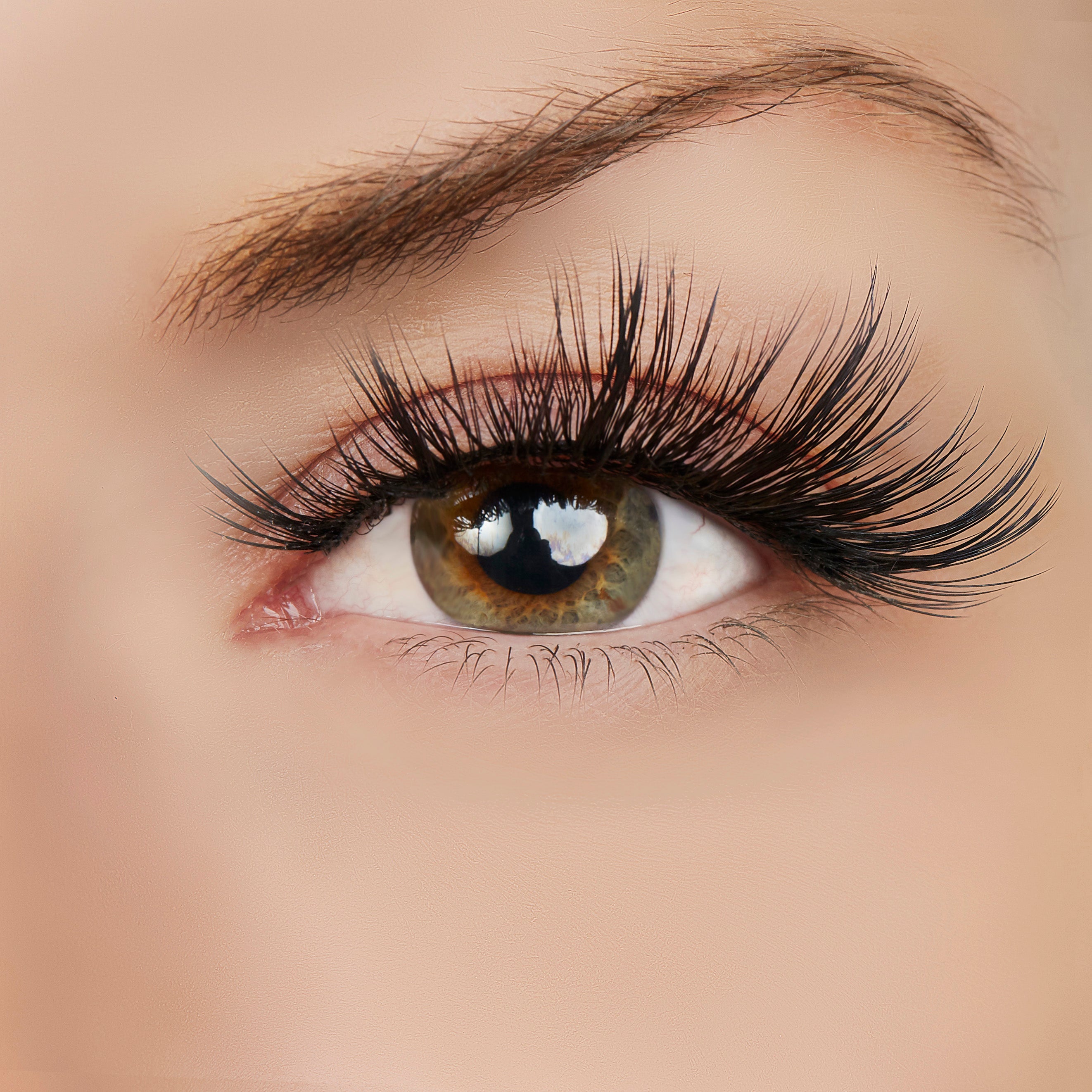  True Beauty Lashes BFF Lash Style by True Beauty Lashes - Standard (apply with Lash Adhesive) - Bonton