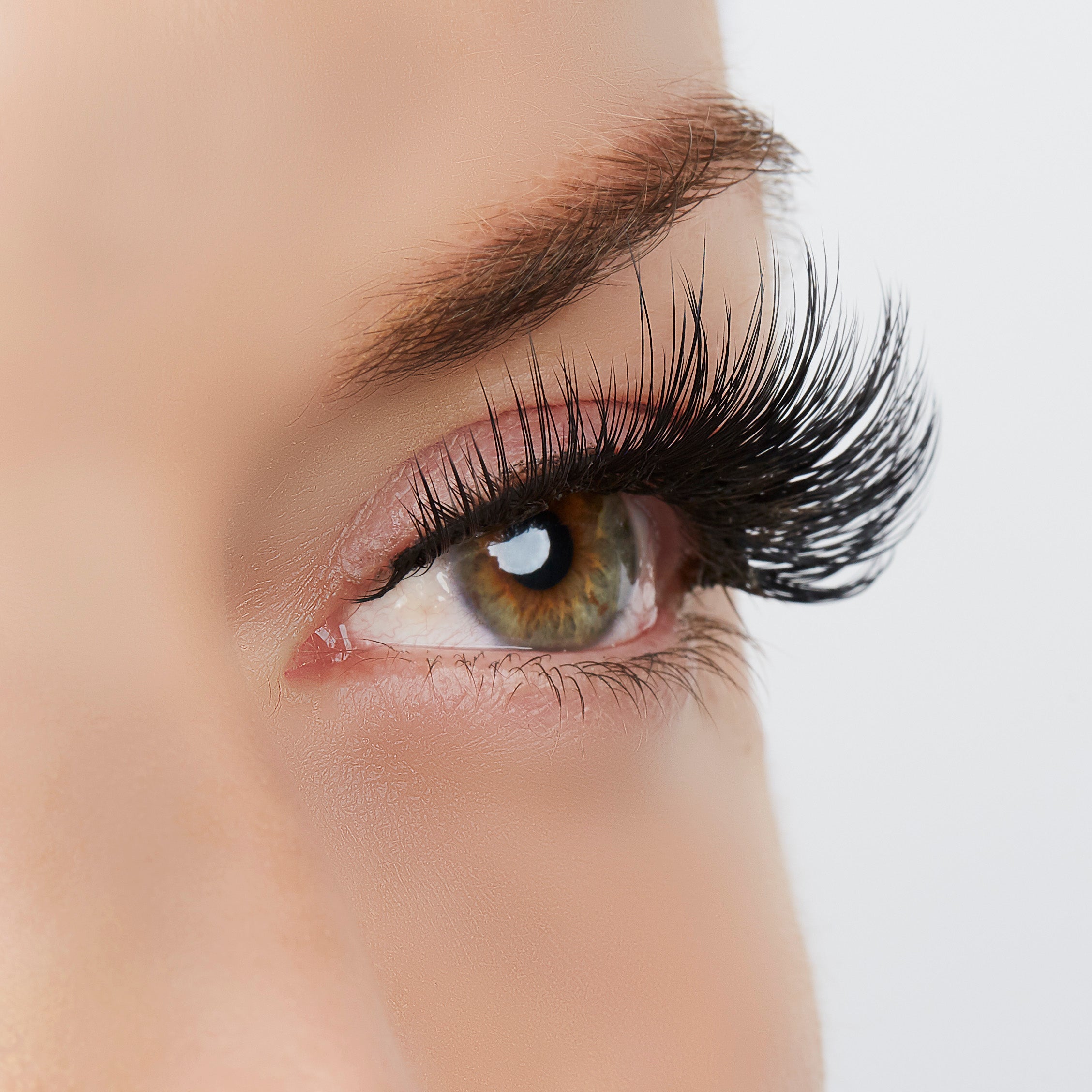  True Beauty Lashes Center of Attention Lash Style by True Beauty Lashes - Standard (apply with Lash Adhesive) - Bonton