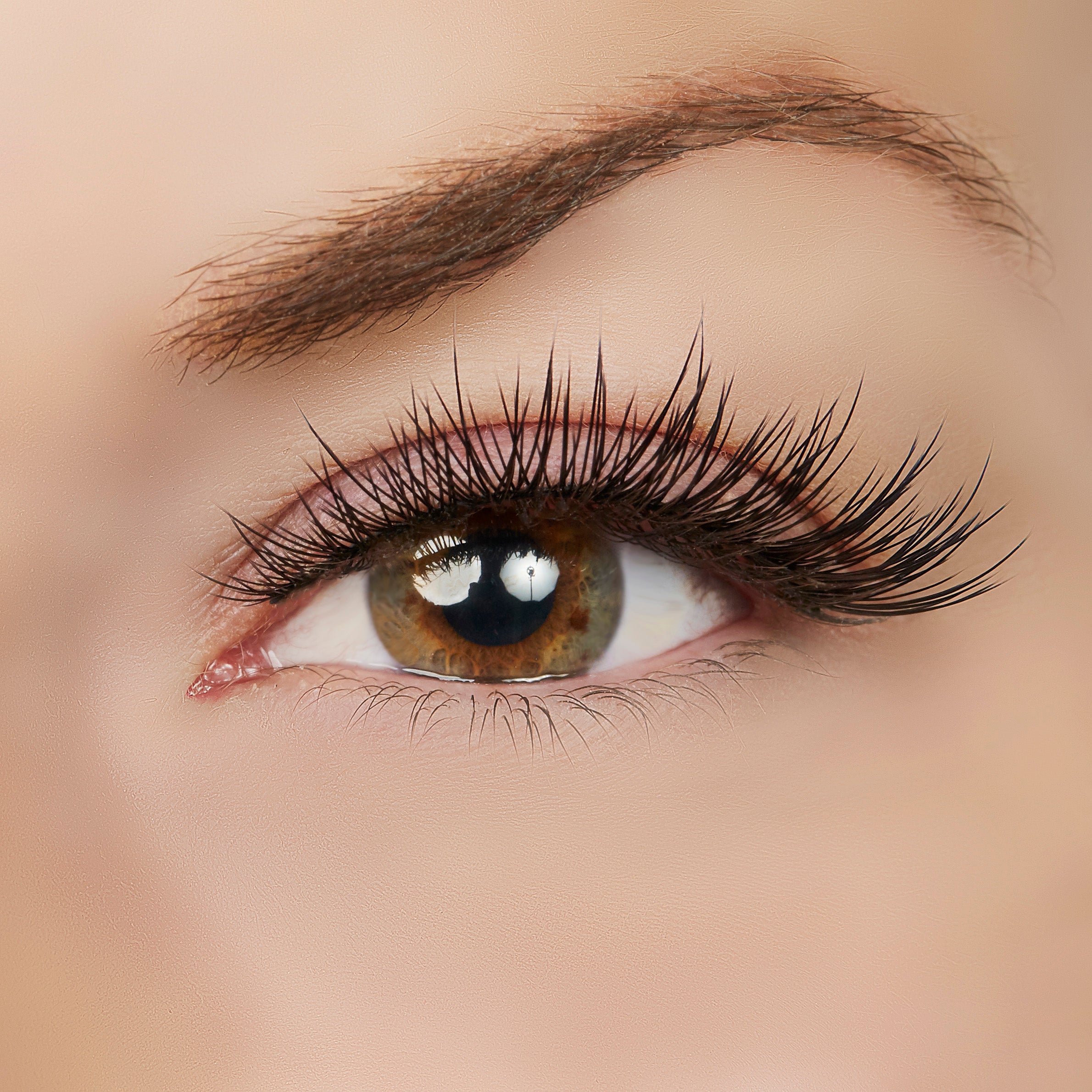  True Beauty Lashes Goal Digger Lash Style by True Beauty Lashes - Standard (apply with Lash Adhesive) - Bonton