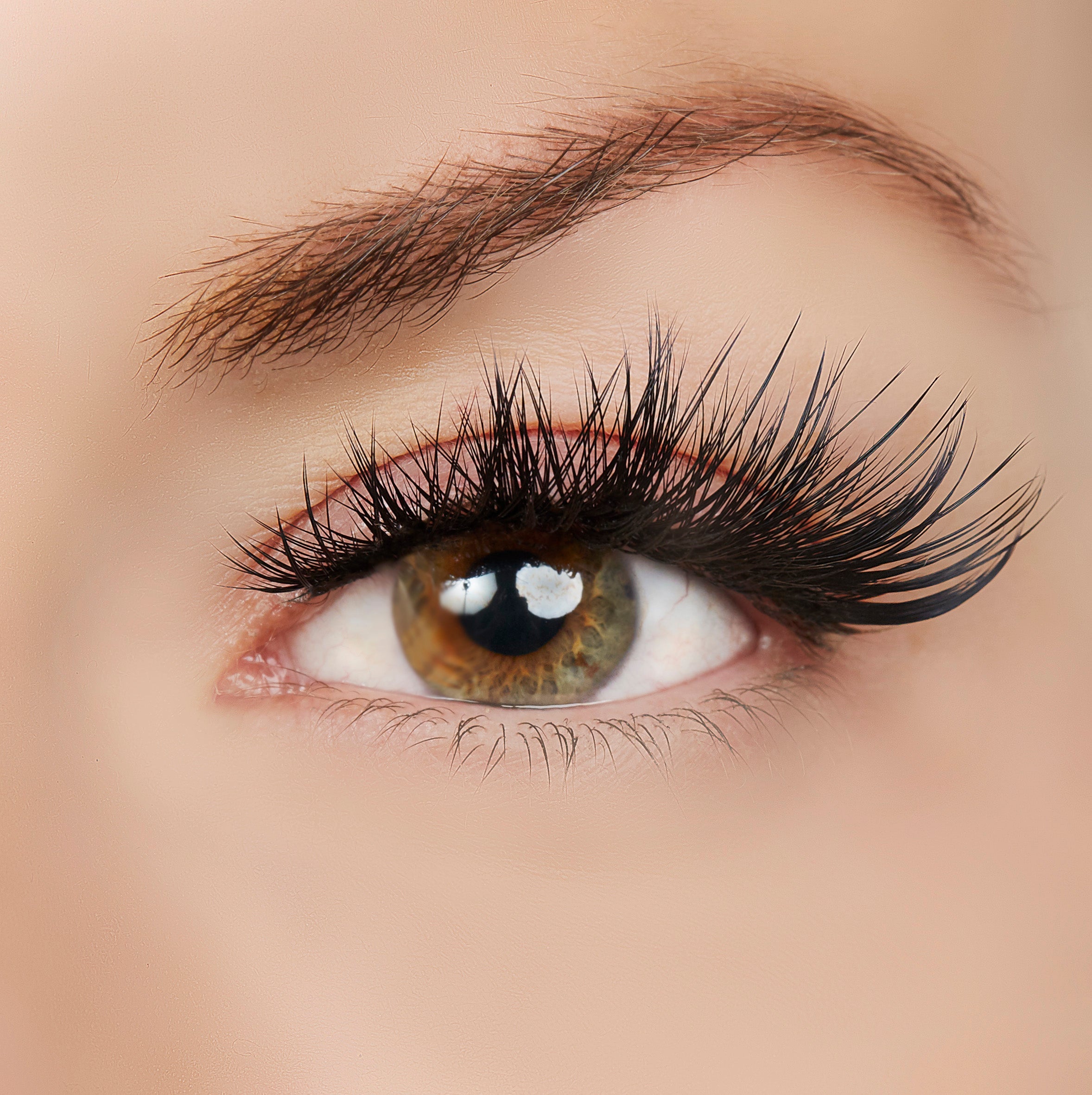  True Beauty Lashes Original Inspo Lash Style by True Beauty Lashes - Default Title - Bonton