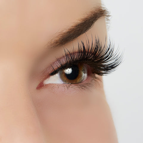 Wait for It... Lash Style by True Beauty Lashes