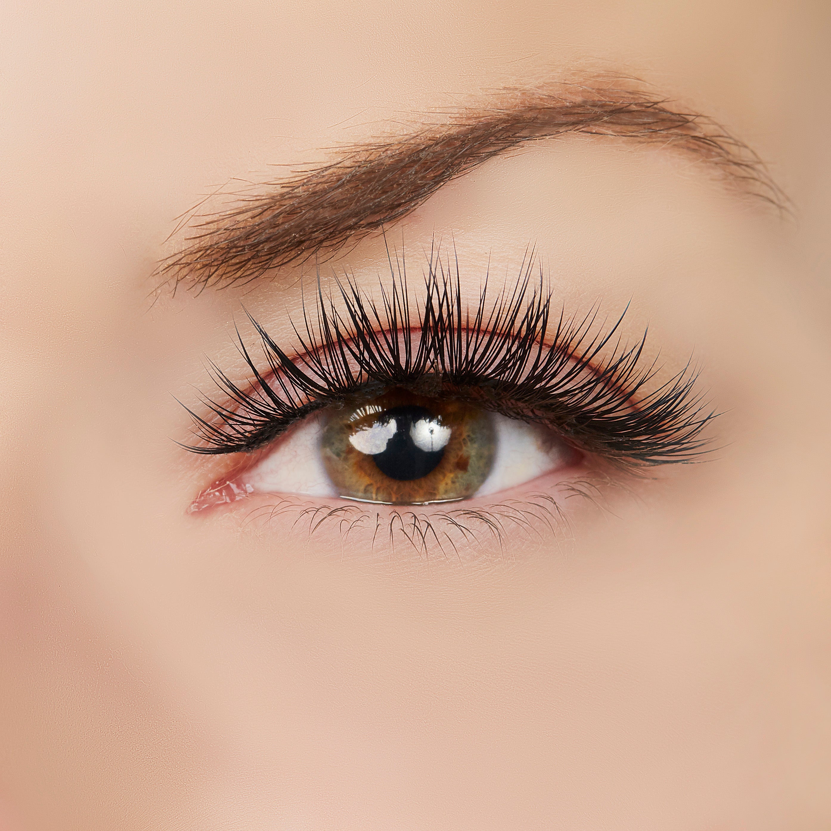  True Beauty Lashes Wait for It... Lash Style by True Beauty Lashes - Standard (apply with Lash Adhesive) - Bonton