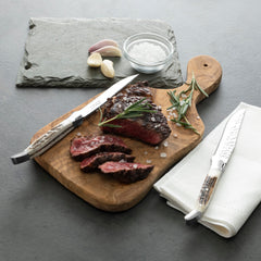 Laguiole Set of 4, Connoisseur BBQ Steak Knives With Deer Horn Handles