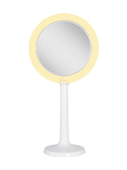 Hudson Lighted Makeup Mirror with 8X/1X Magnification & Suction Cup